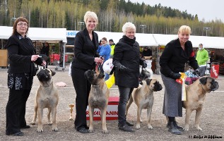 BIS3 kavattaja/Breeder Lahti 010511